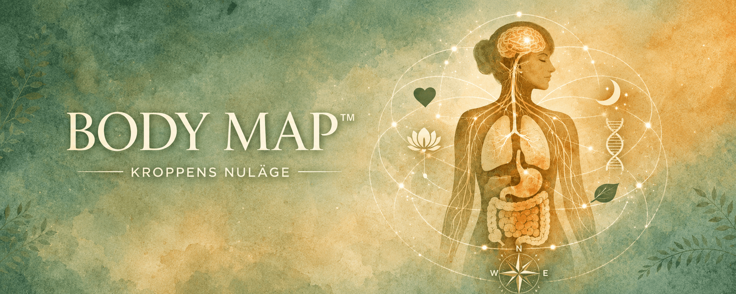 Body Map — helhetsanalys